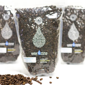 1 lb. Coffee - Yirgacheffe